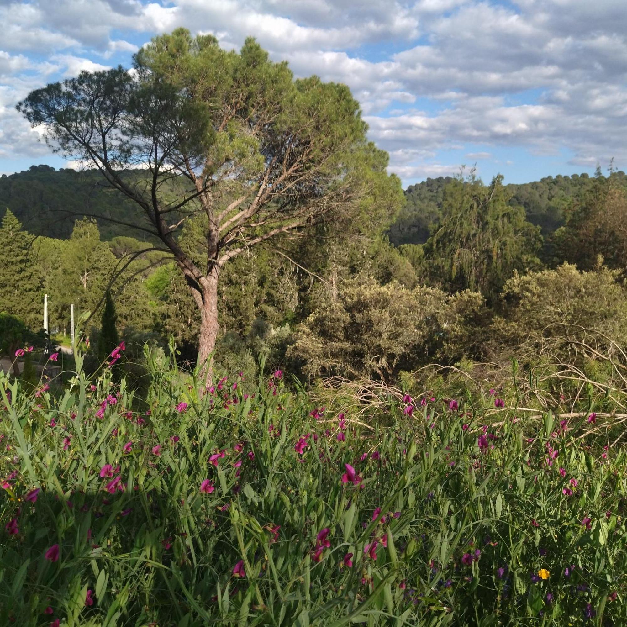Bonita Casa Blanca En El Bosque. Villa กอร์โดบา ภายนอก รูปภาพ